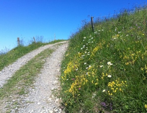 Seniorenwandergruppe bald wieder am Start