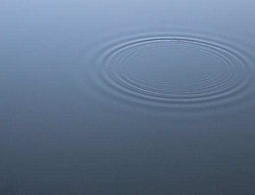 Meditationsimpuls August