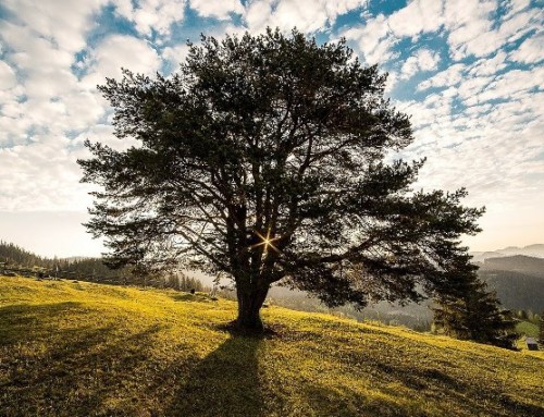 Abende religiöser Orientierung – ERFÜLLTES  LEBEN