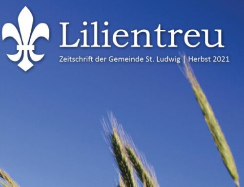 Die Herbstausgabe der Lilientreu ist da